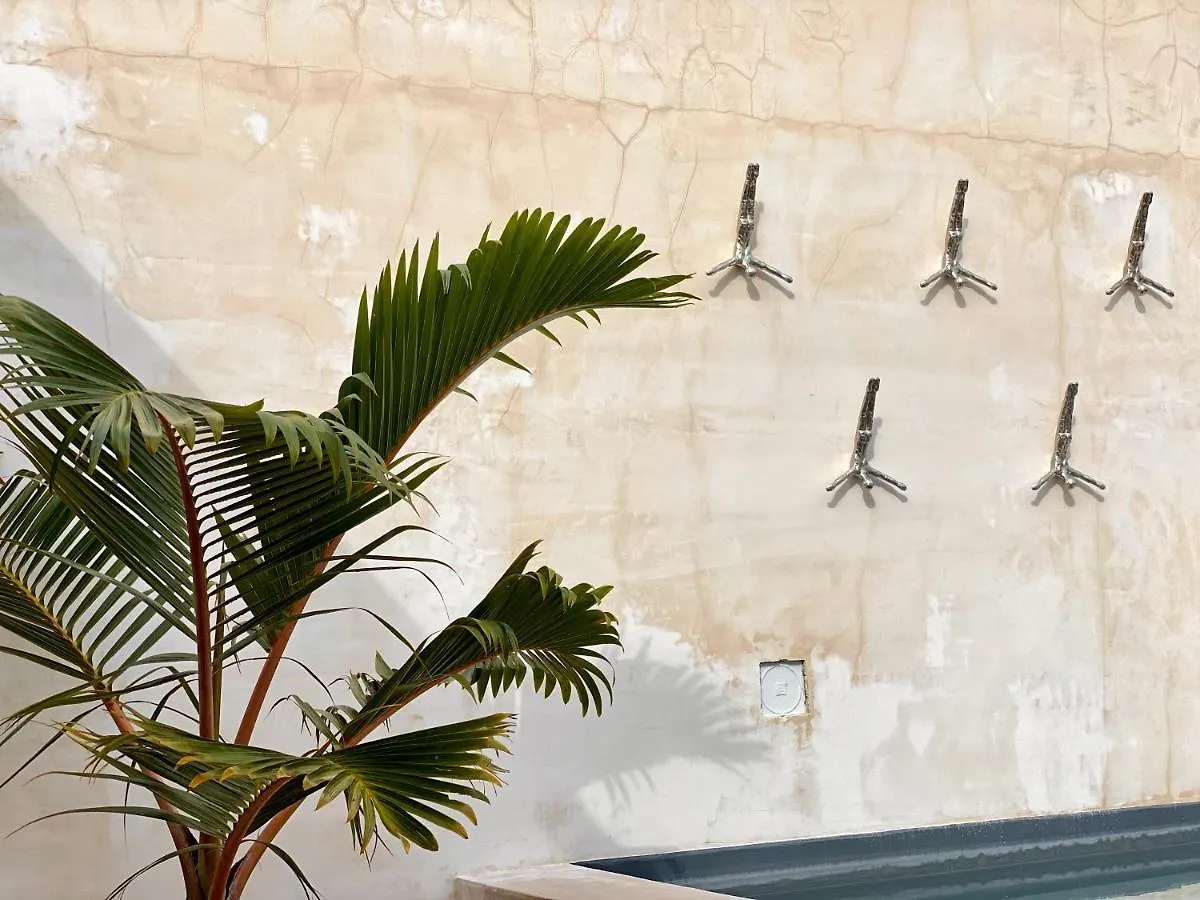 Gardens Coba By Andiani Travel Apartment Tulum