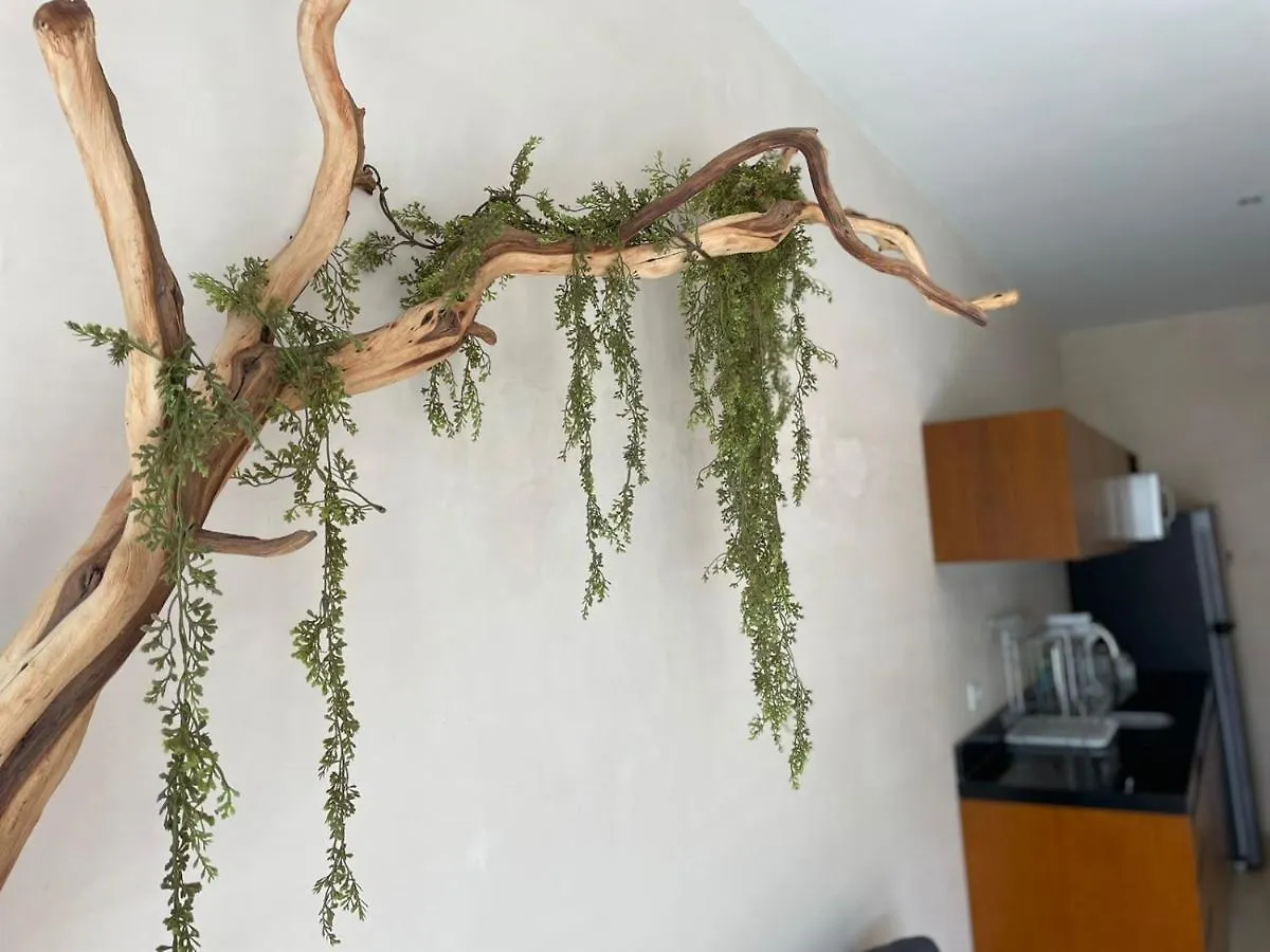 Appartement Gardens Coba By Andiani Travel à Tulum Mexique